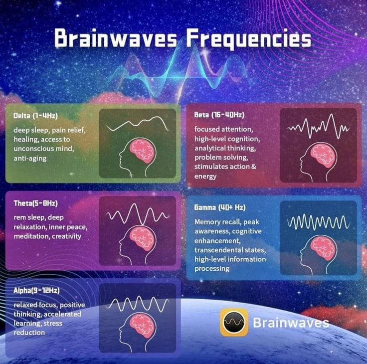 brainwaves