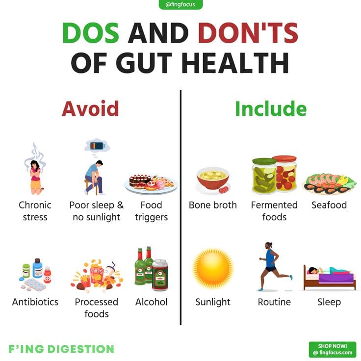 Gut Health