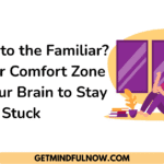 comfort zone