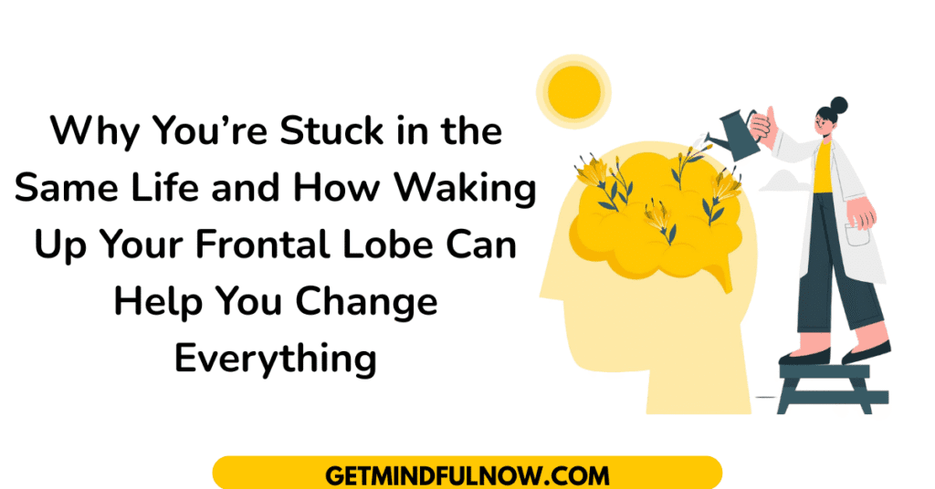 frontal lobe