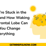 frontal lobe